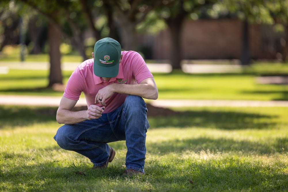 Account manager inspecting lawn 