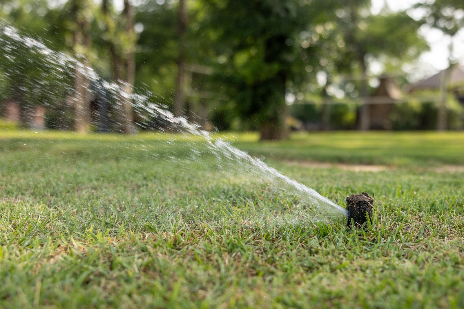 close up irrigation system green lawn