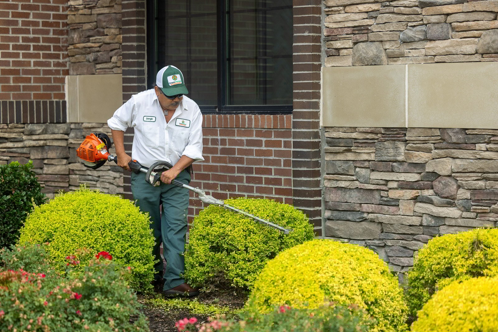 commercial landscape maintenance crew trimming pruning hedges bushes 1
