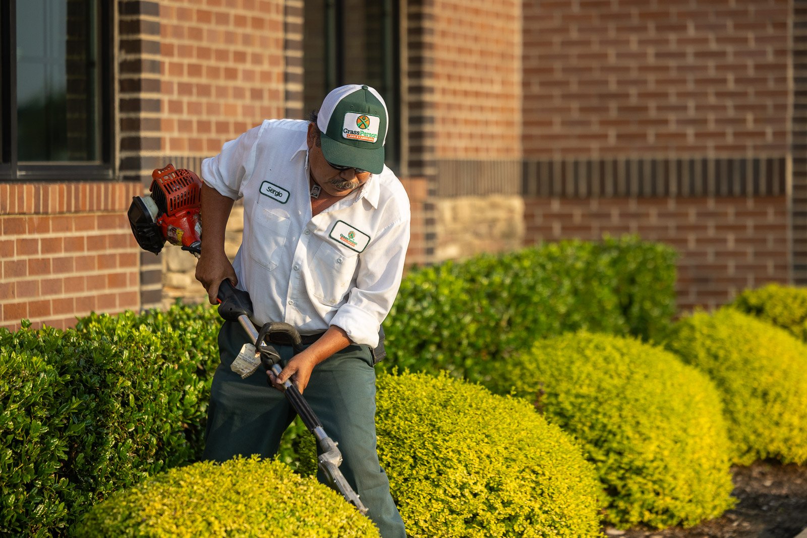 commercial landscape maintenance crew trimming pruning hedges bushes 5
