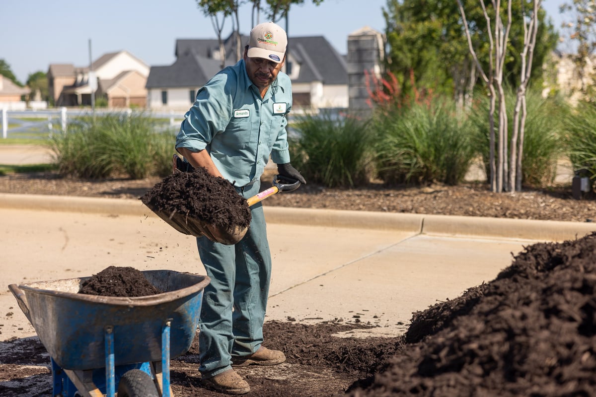 landscaper installing mulch