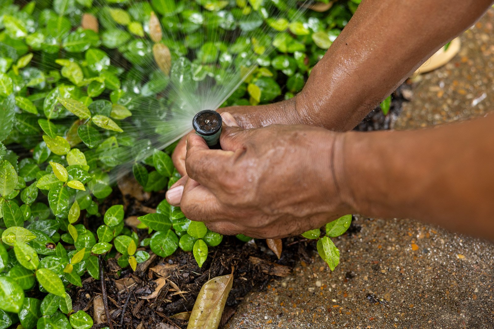 irrigation installation crew digging hole 10