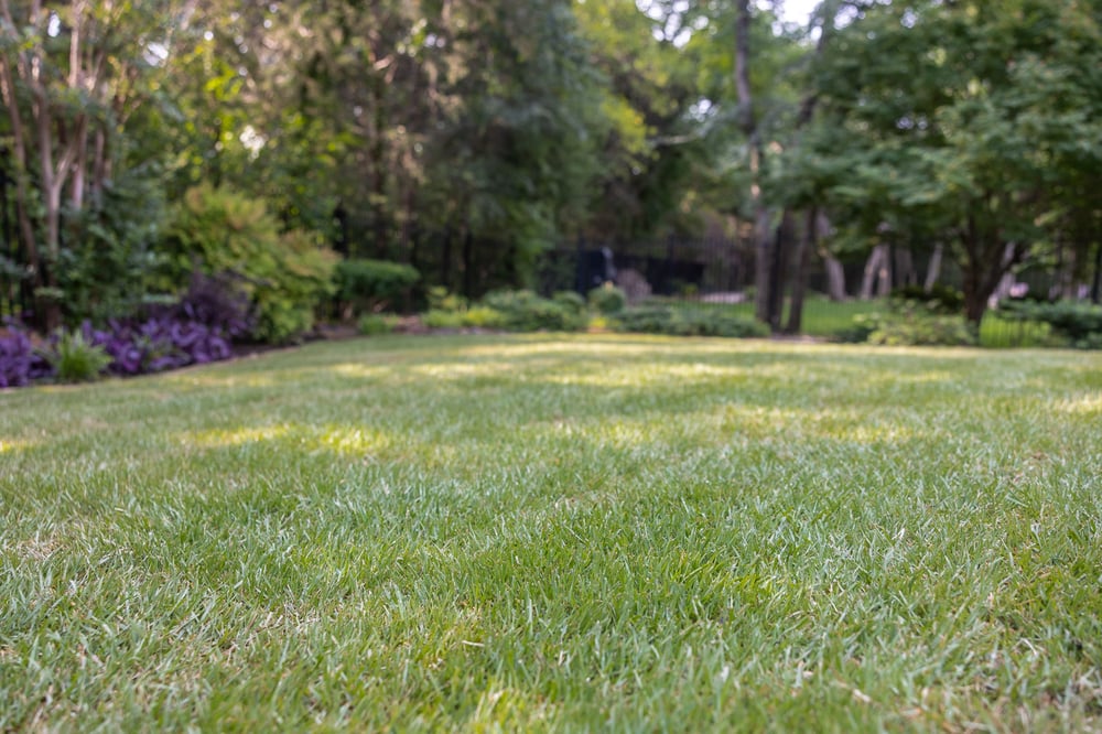 landscape beds green lawn 