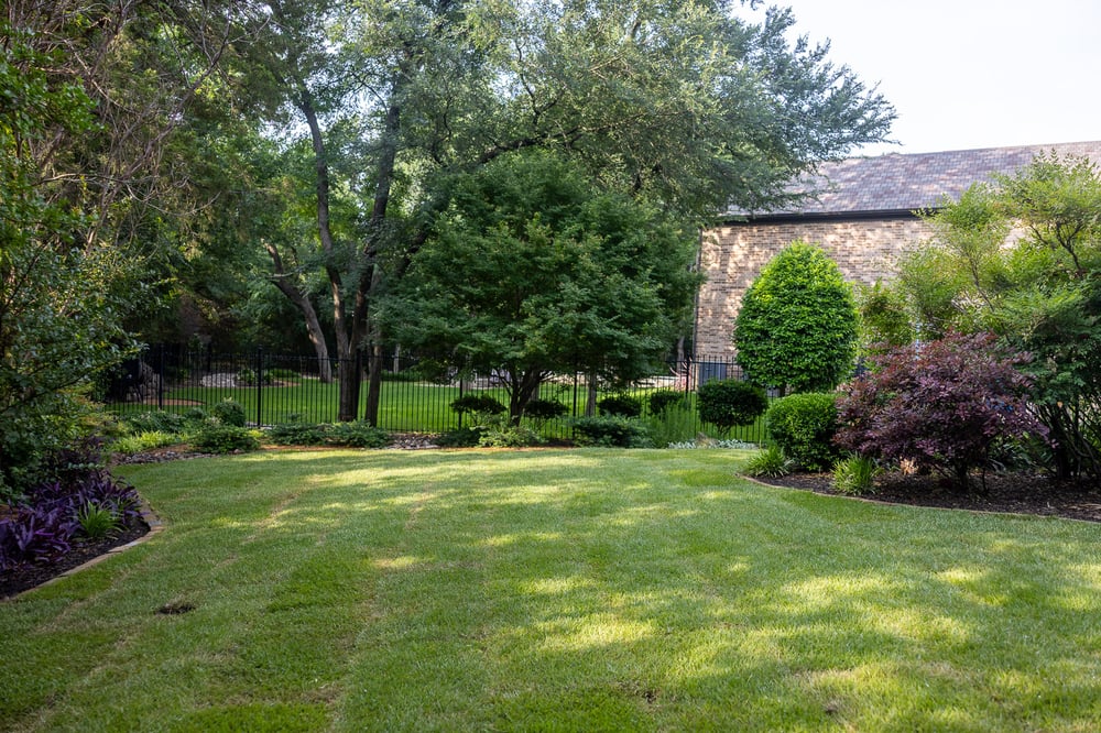 landscape beds green lawn new sod 2