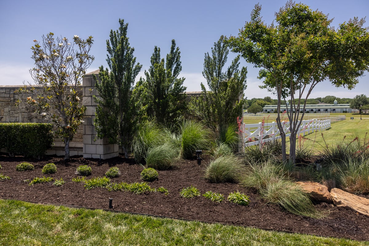 landscape beds with fresh mulch