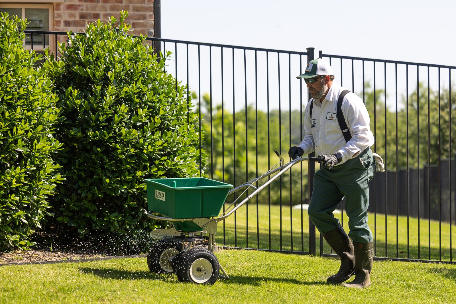 lawn care technicial putting down weed control on grass