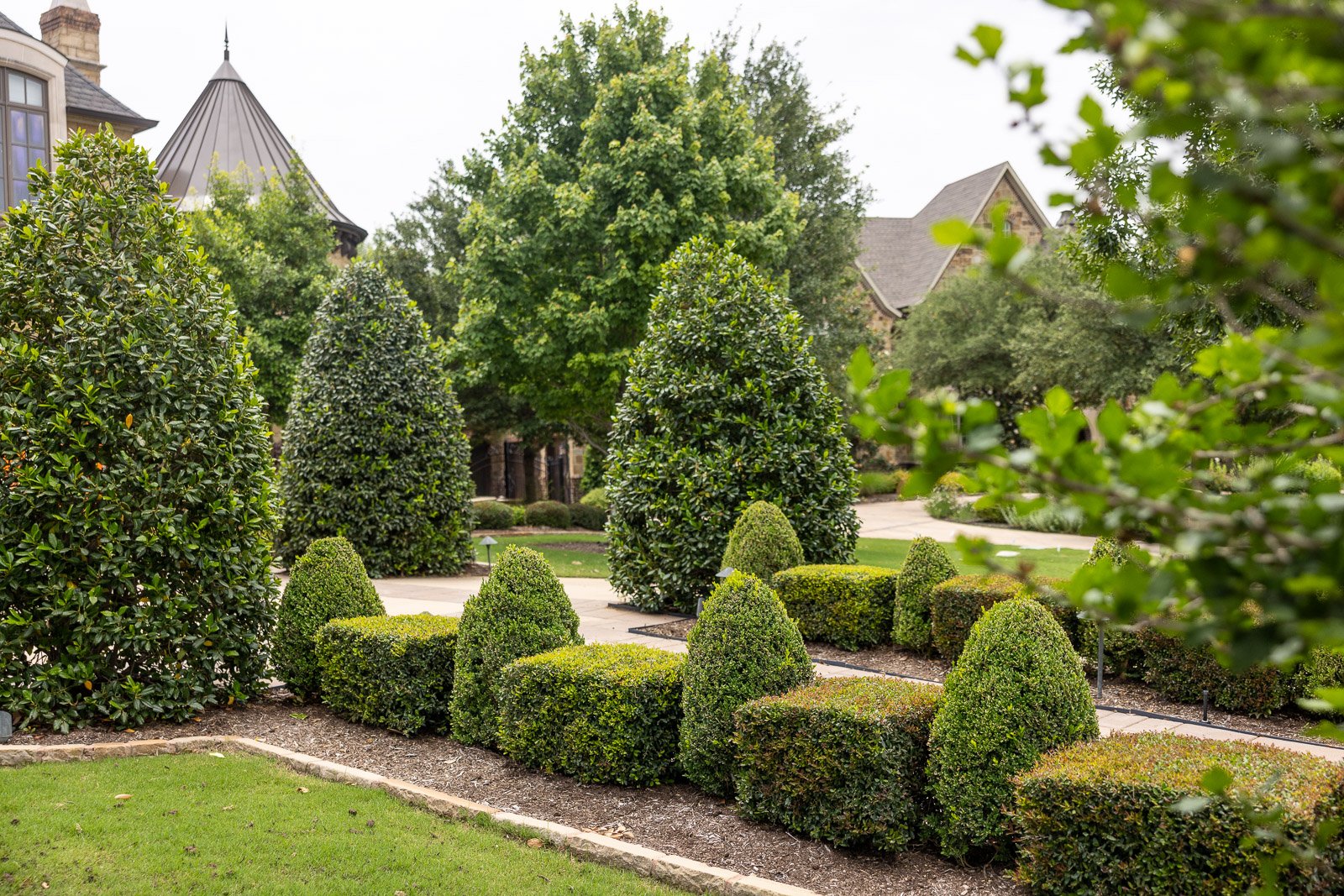 sculpted shrubs along driveway landscape beds