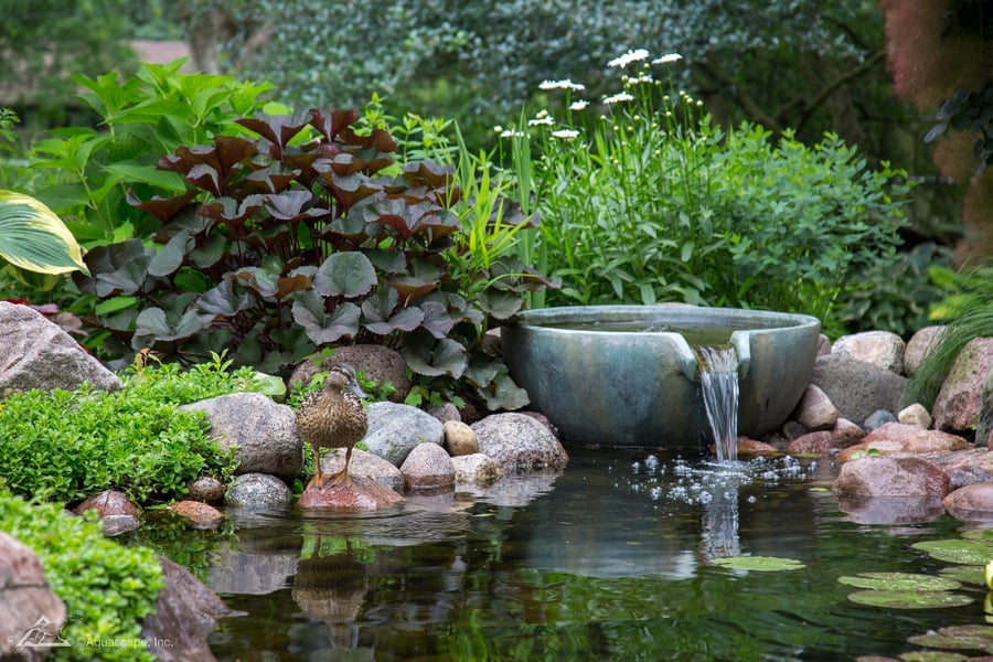backyard water feature with plantings and stone