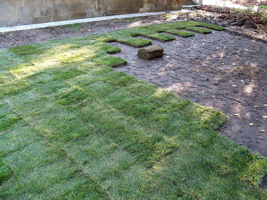 Grass Sod being installed
