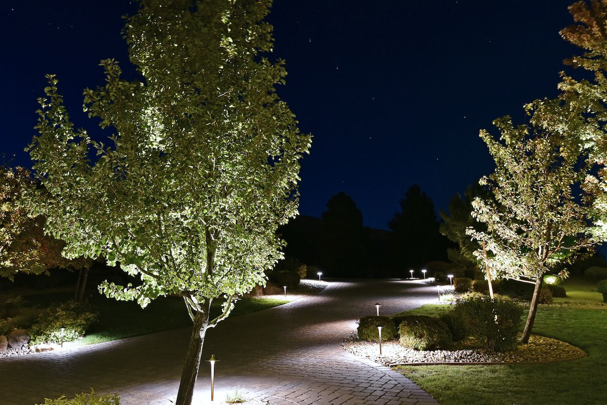 landscape lighting along driveway and on trees
