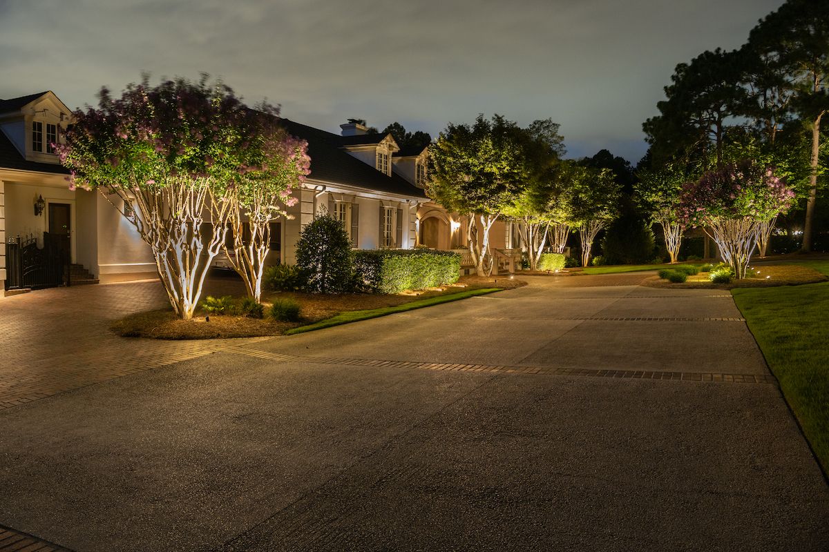 landscape lighting on trees along driveway