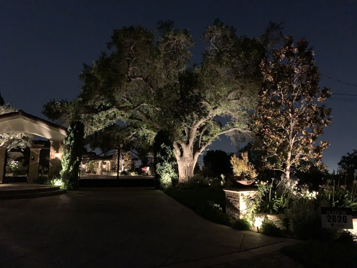 home with landscape lighting on oak tree
