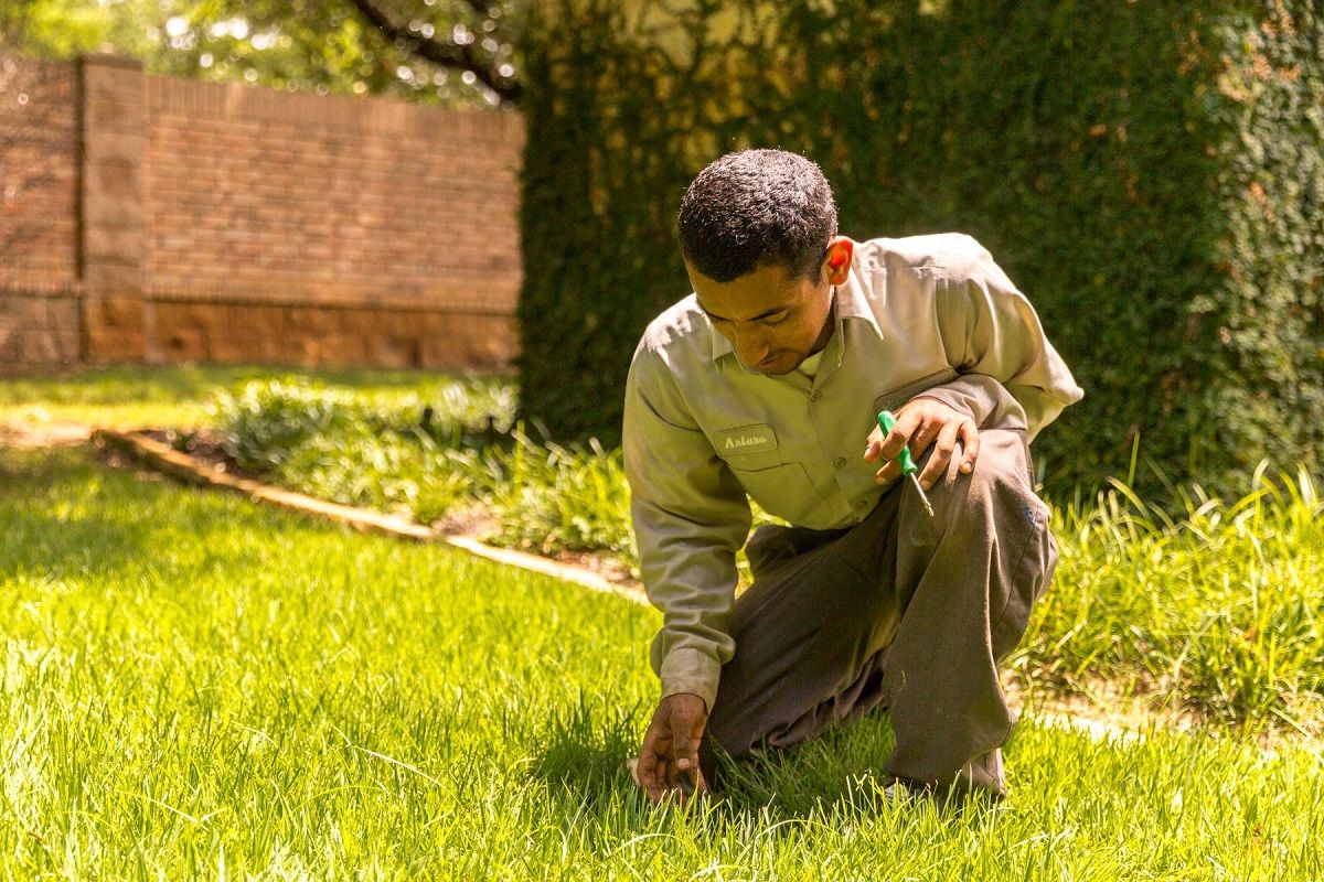 irrigation technician inspects sprinkler head in grass