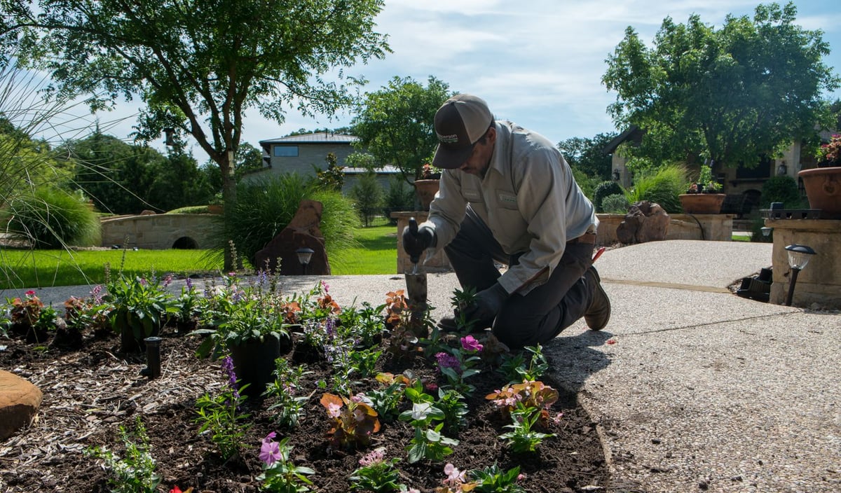 landscaping team planting annual flowers