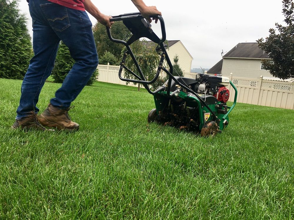 Lawn Aeration in Northern Texas: When, Why, and More Questions and Answers
