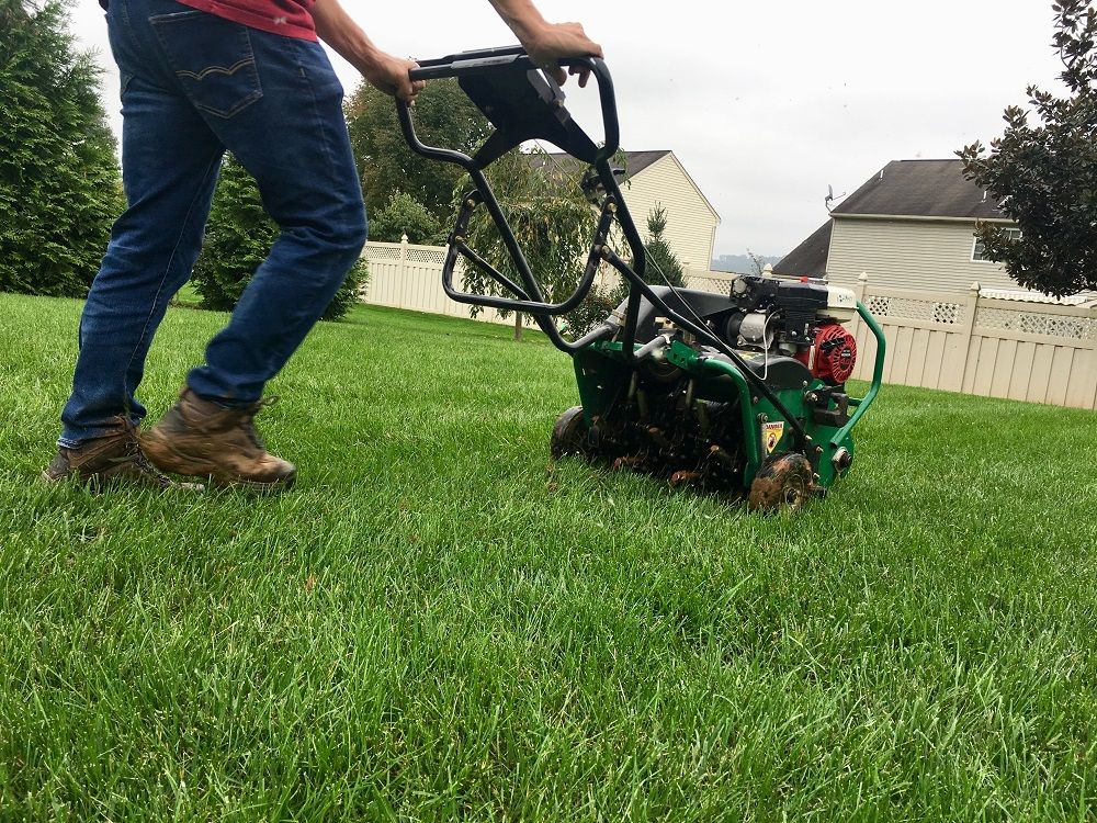 lawn aerator