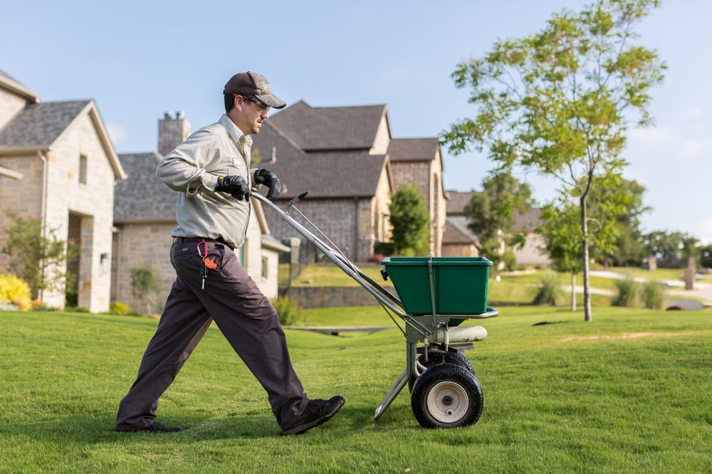 lawn care technician fertilizes lawn with walk behind spreader