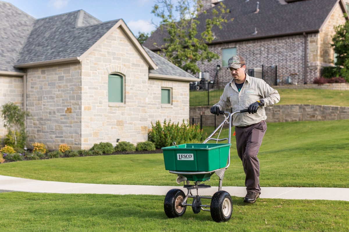 Grubs in North Texas: Protecting Your Lawn From This Destructive Pest