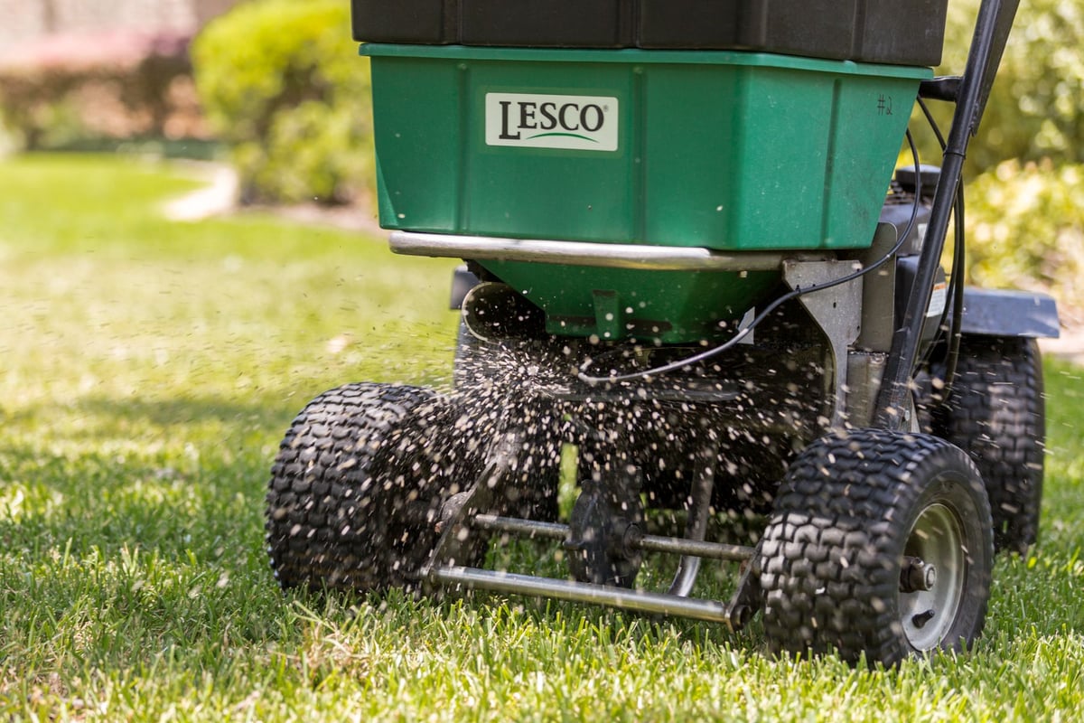granular weed control application to prevent weeds in grass
