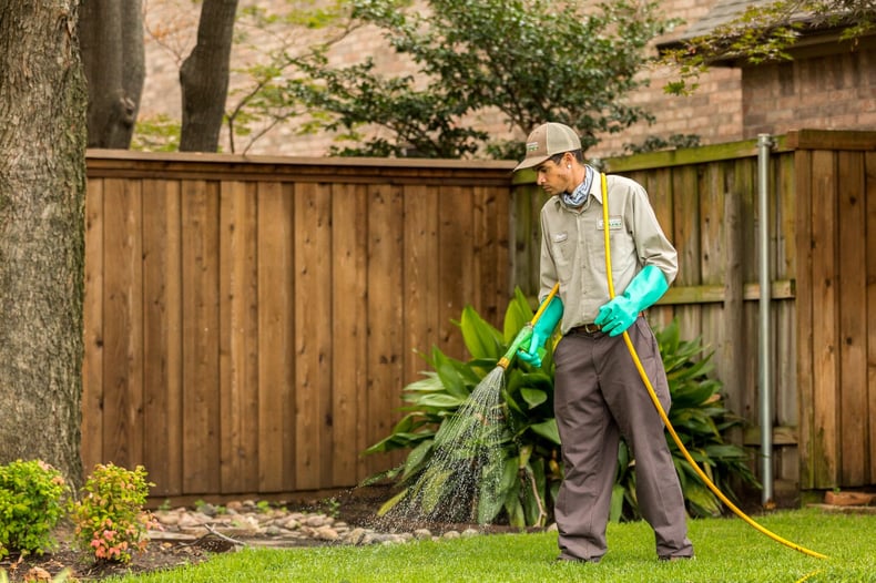 lawn technician spraying grass