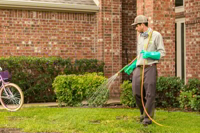 A Guide to Choosing Your Lawn Care Program: What You Really Need in North Texas