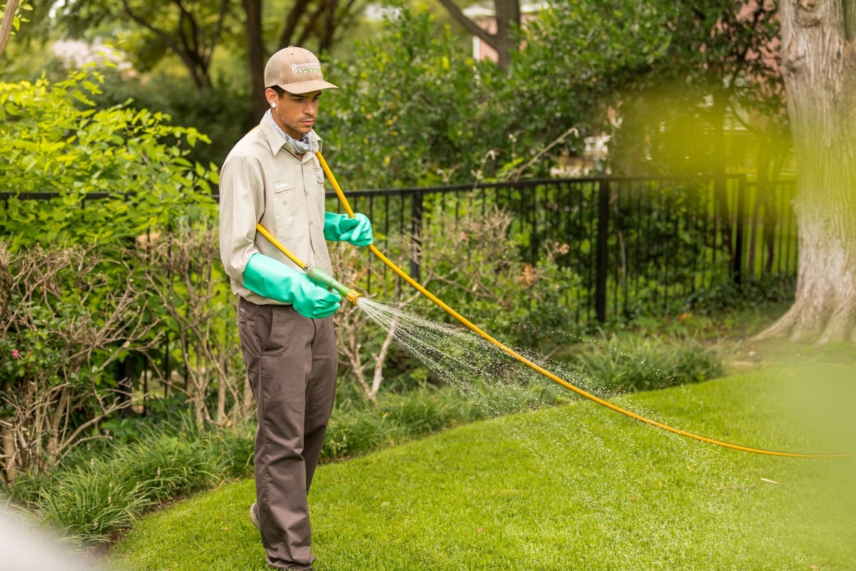 lawn technician spraying grass for pests