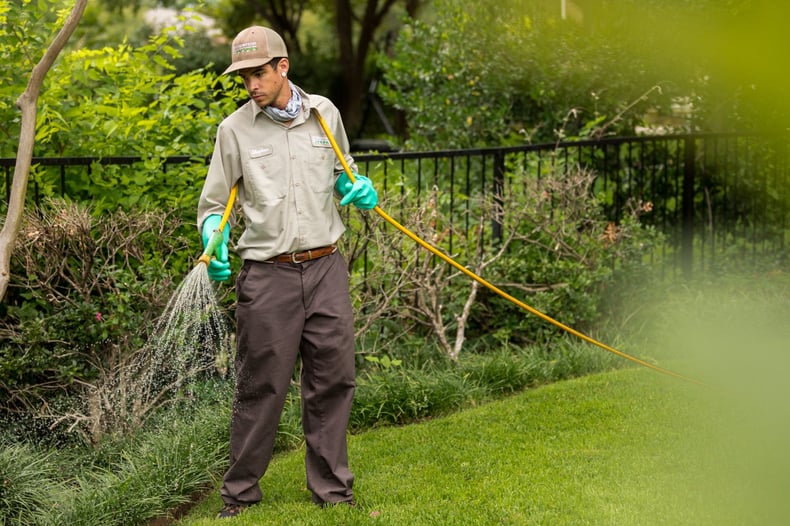 lawn technician spraying grass