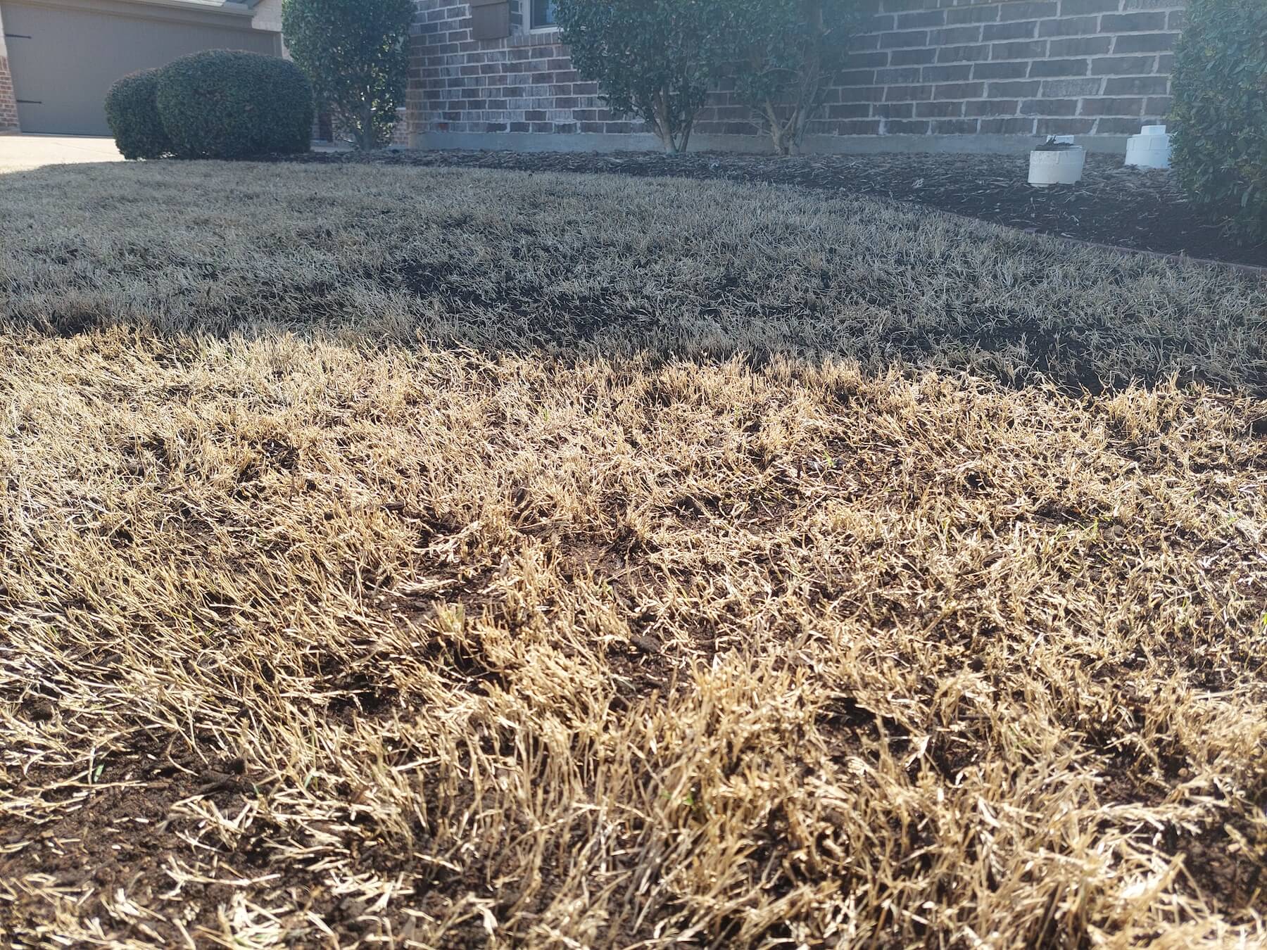 topdressing compost on grass