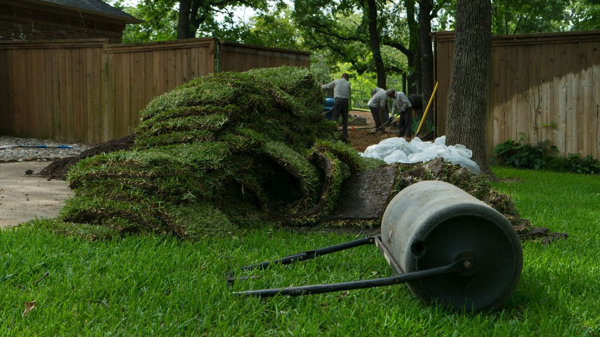 new sod being installed by landscape professionals