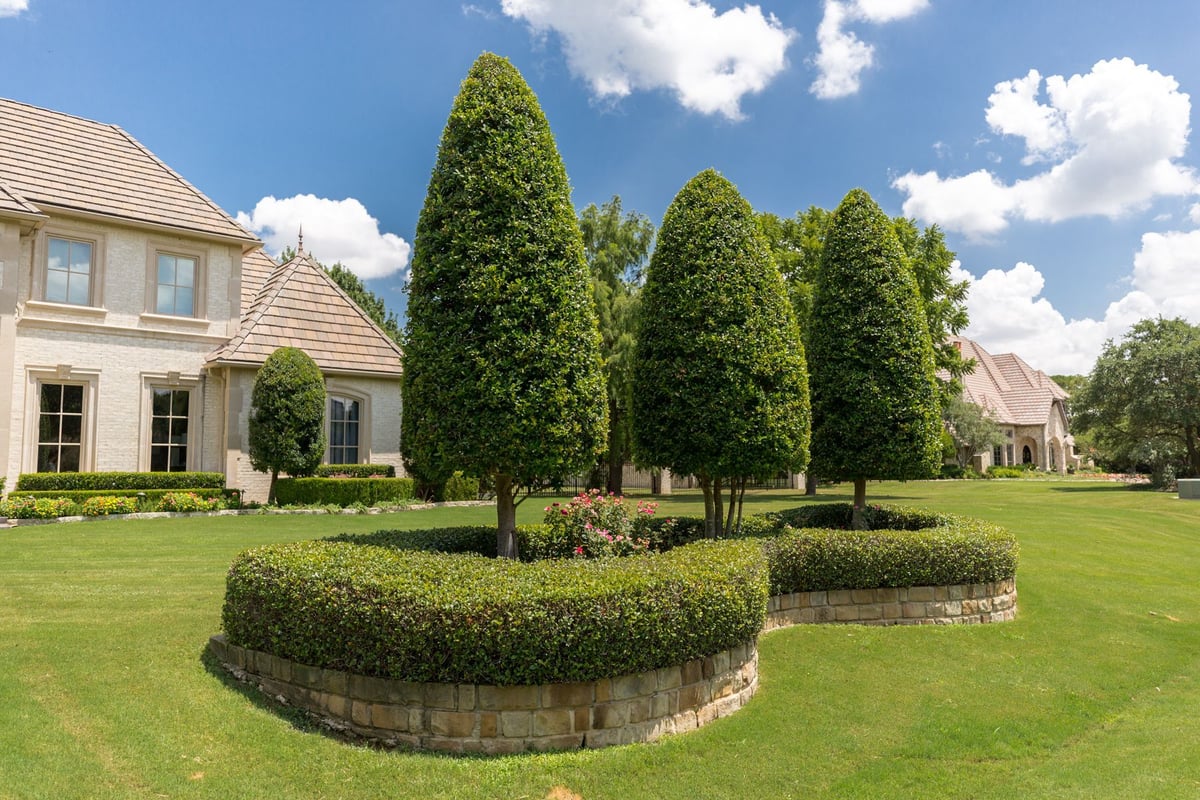 healthy lawn trees and shrubs
