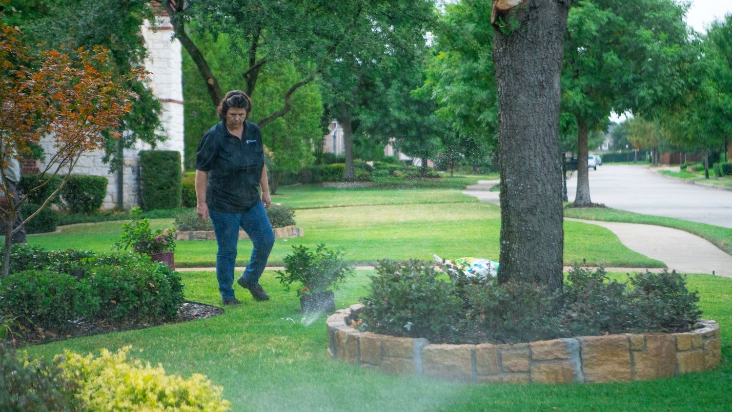 lawn irrigation system inspection 