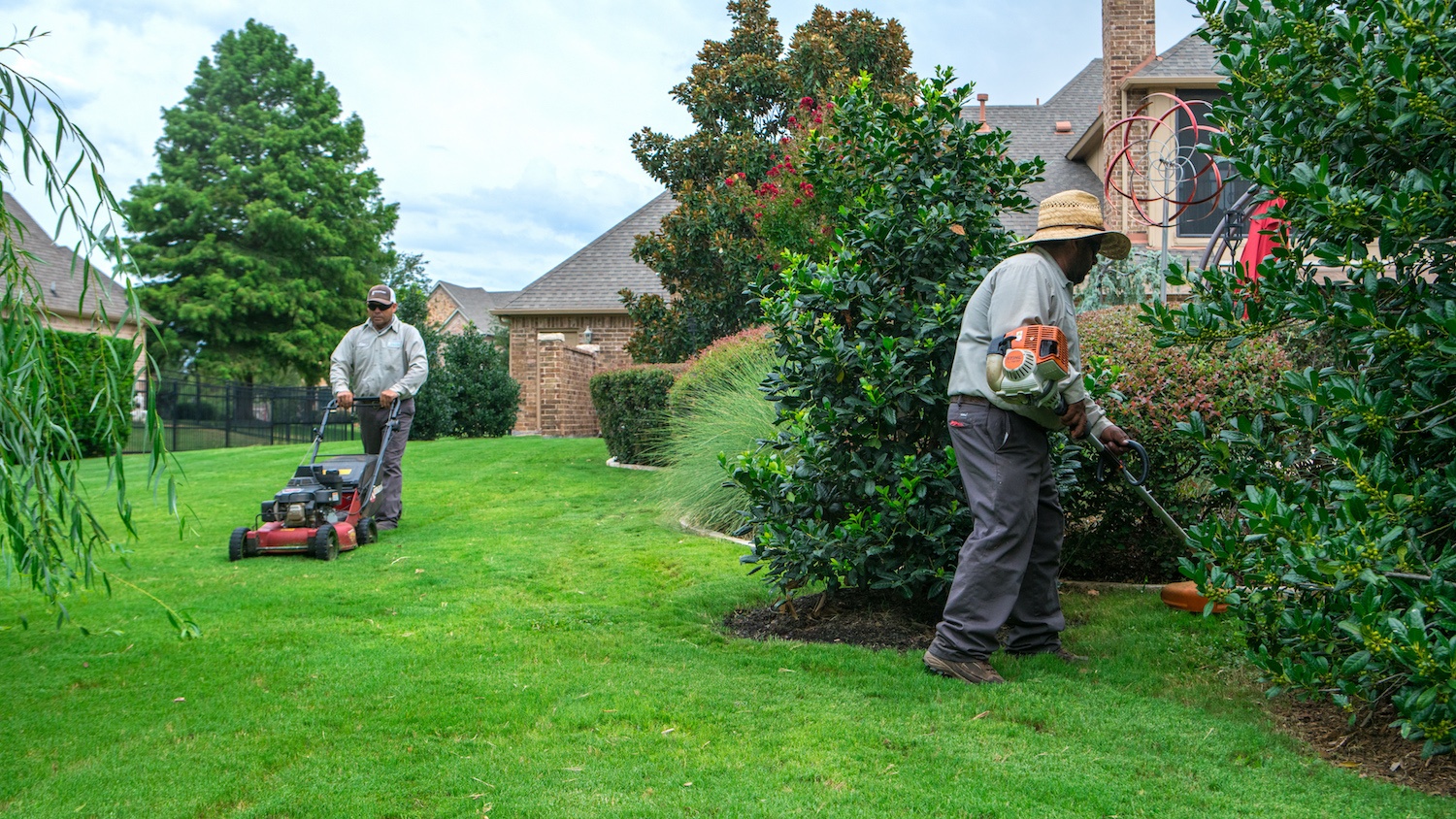 grassperson lawn care crew mowing lawn and trimming shrubs