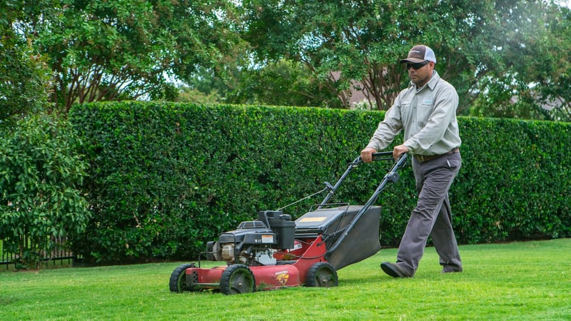 lawn mowing professional in North Texas