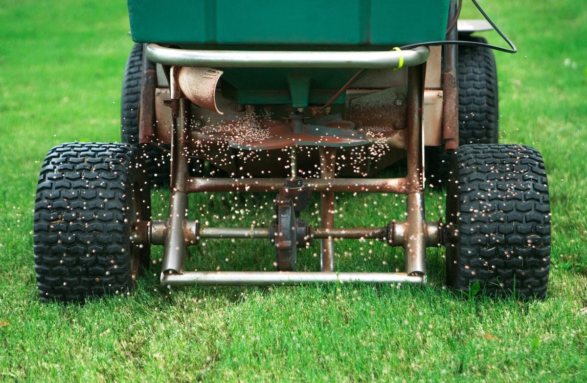 fertilization spreader puts granular fertilizer in grass