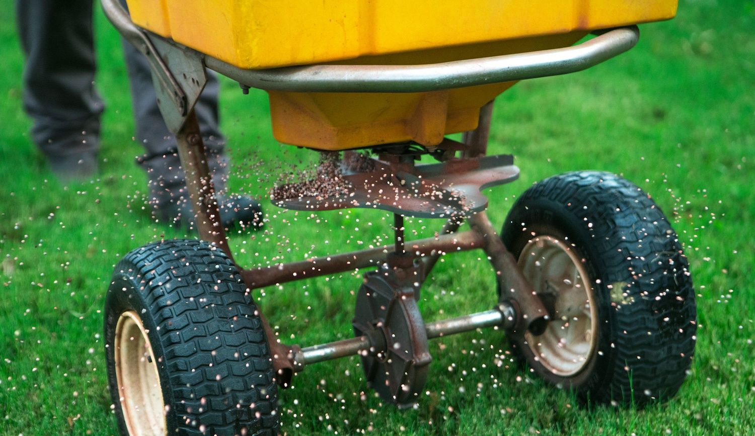 lawn technician seeding lawn