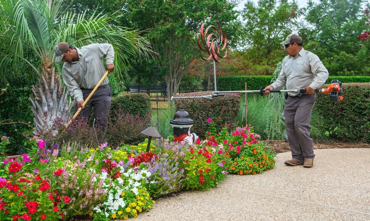 landscape maintenance team trims shrubs near flowers