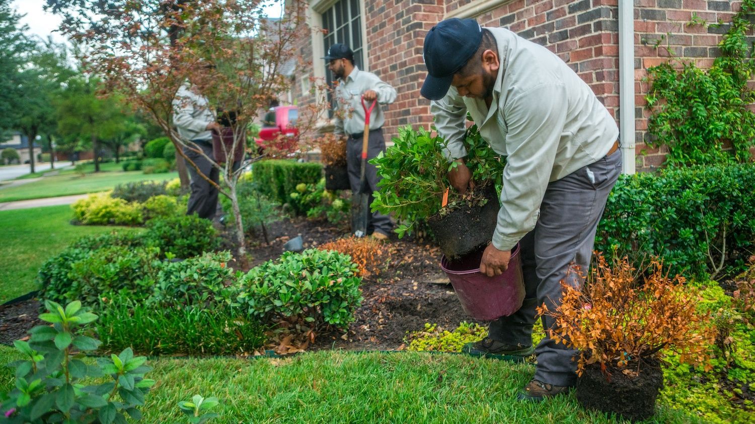 Grassperson landscaping crew planting flowers