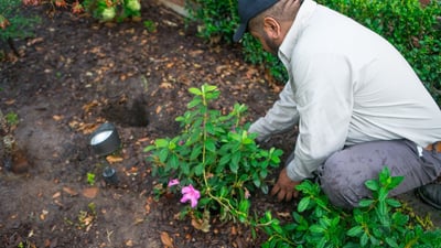 7 Biggest Landscaping Mistakes To Avoid in North Texas
