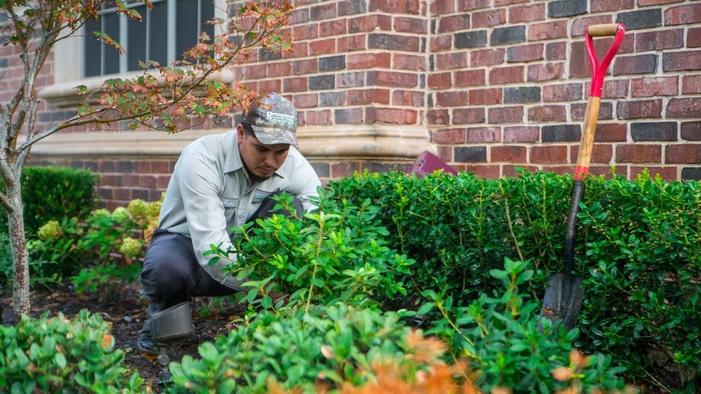 landscape crew planting new shrub