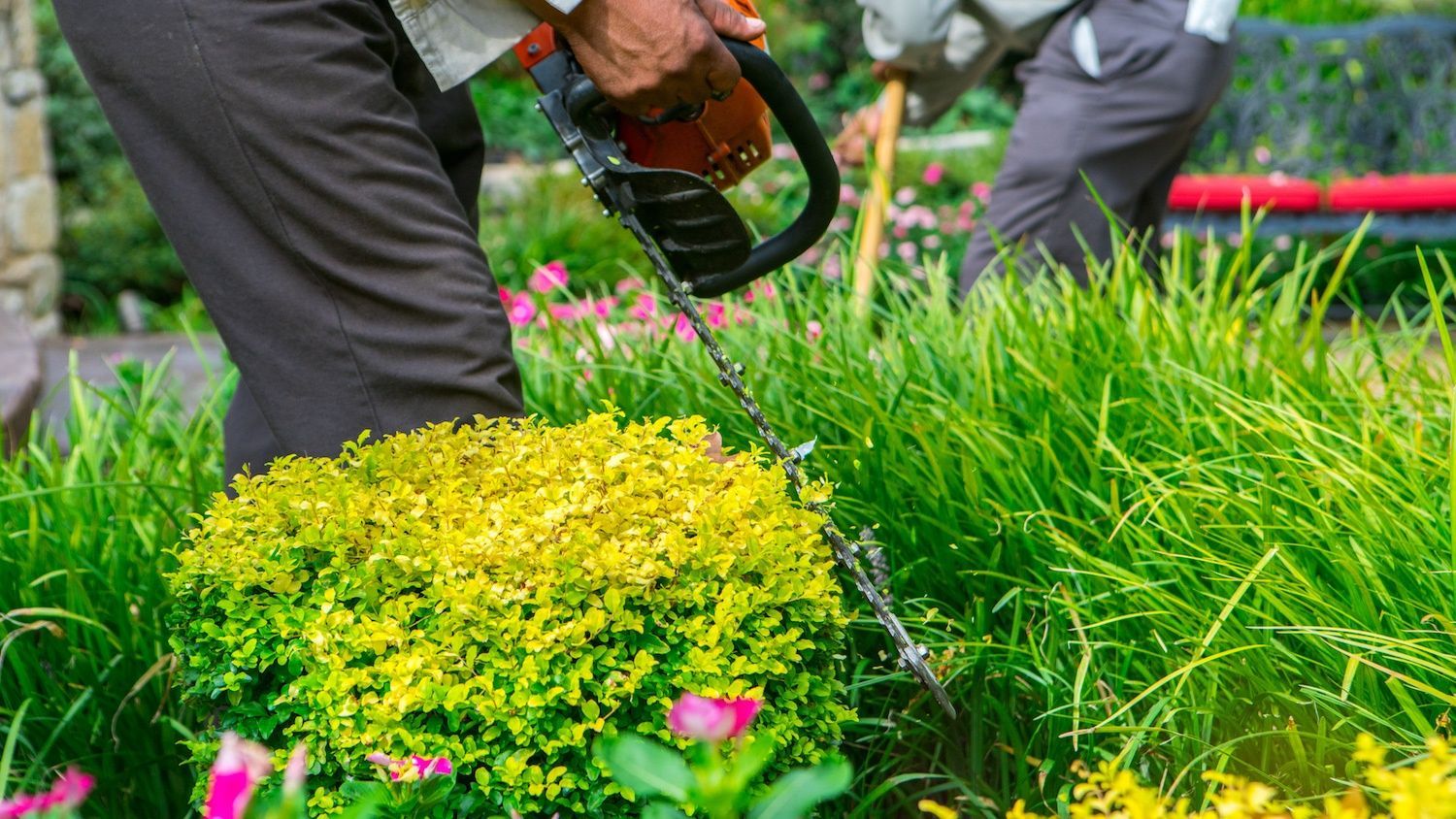 grassperson-crew-shrub-flowers-trimming-maintenance-3