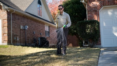 lawn technician spraying to prevent lawn pests