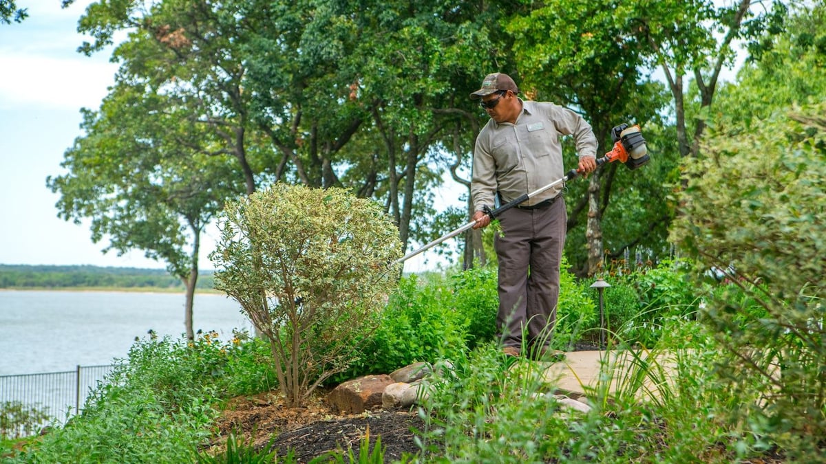 landscape team prune shrub