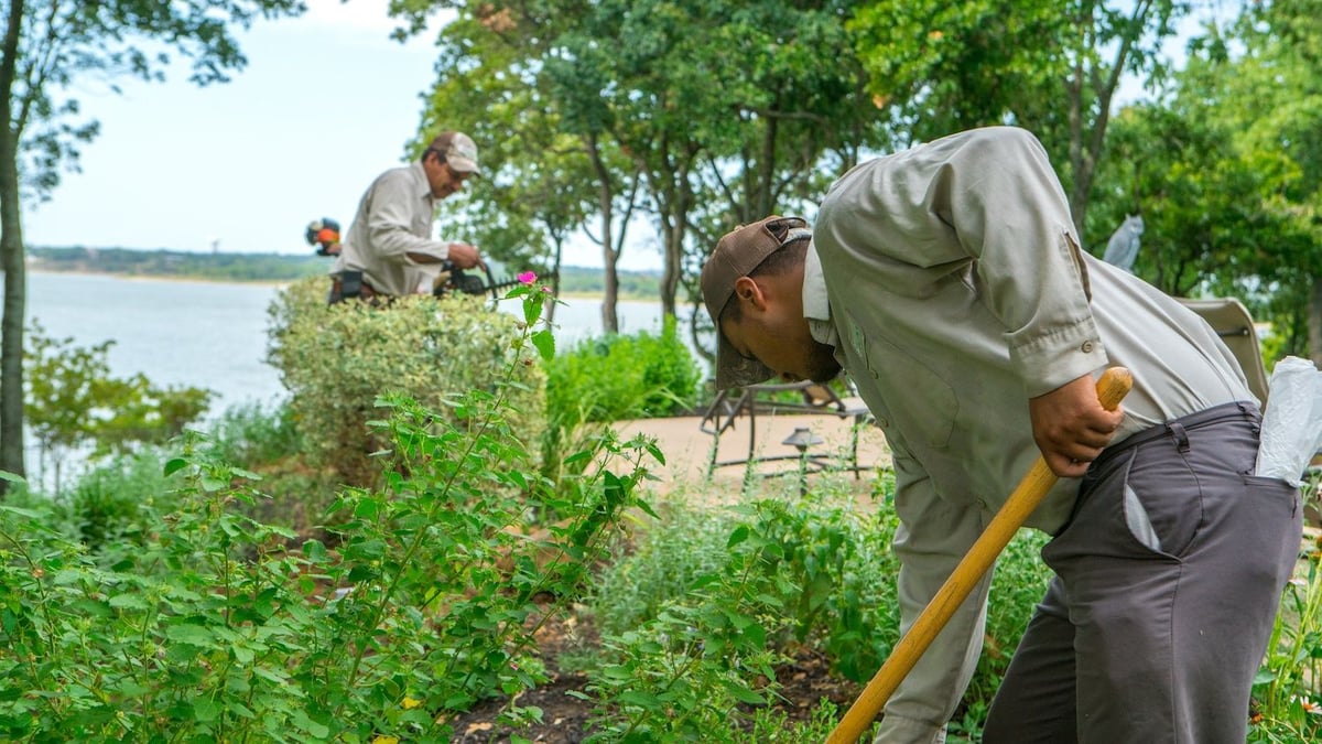 landscape care team trims and removes shrubs