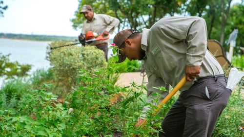 grassperson-crew-trimming-pruning-shrubs
