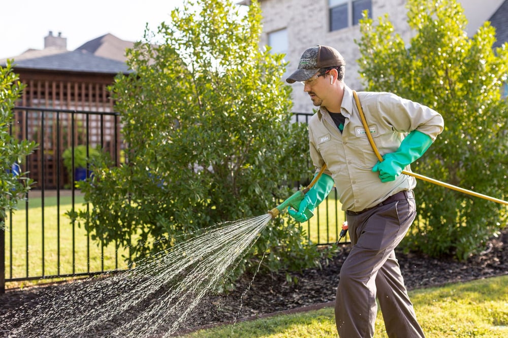 professional applying weeds treatment to lawn