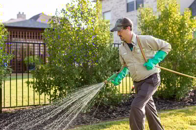 Grounds Guys vs. Grassperson: Comparing 2 Lawn Services for Flower Mound, Highland Village, & West Plano, TX