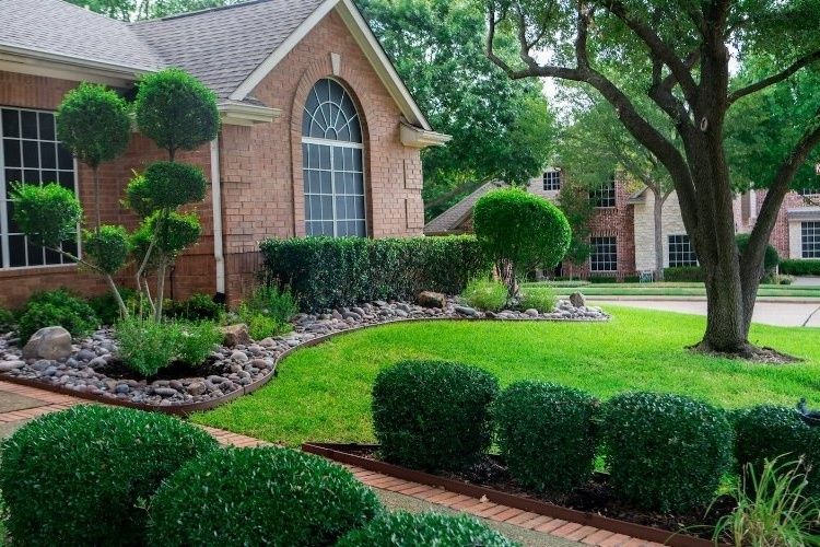 Healthy lawn with treatments