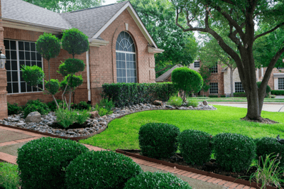 What Is Organic Lawn Care and Is It Right for Your North Texas Lawn?