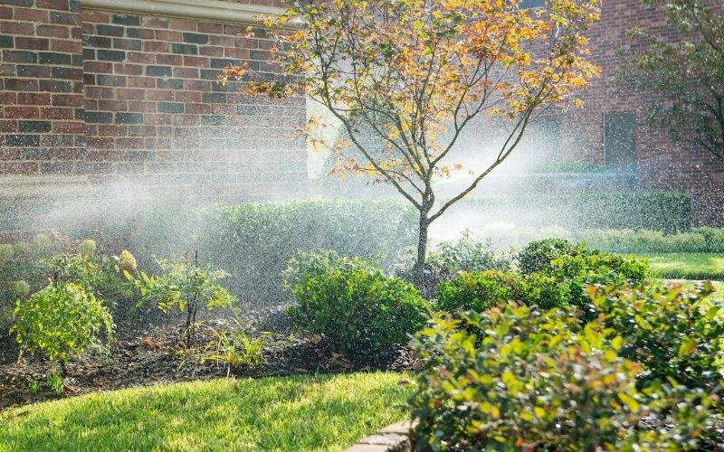 Irrigation watering plants and shrubs