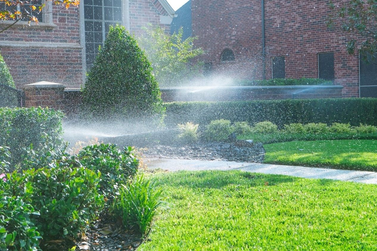 watering lawn and shrubs with irrigation in Texas lawn